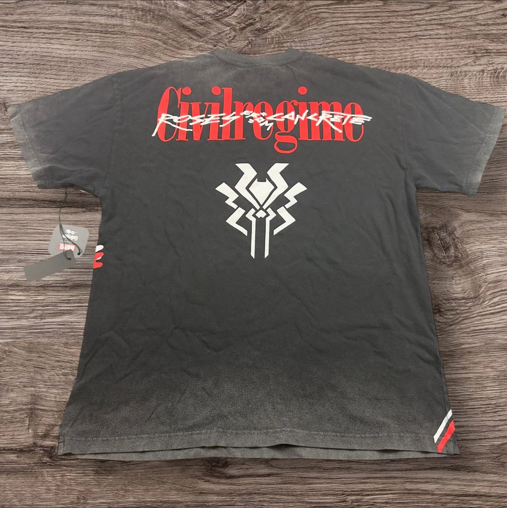 Civil Regime X Spider-Man